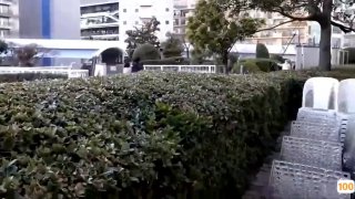 V888AV❤️【露出大神回归】全裸马路勾引单车小哥_下体全裸在商店购物_一次看够😁一区二区三区